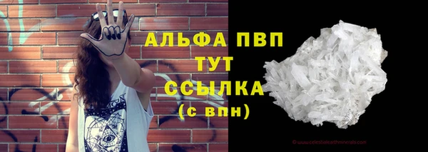 ешки Арсеньев