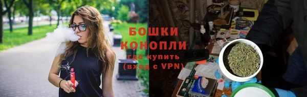 прущие крисы Рославль