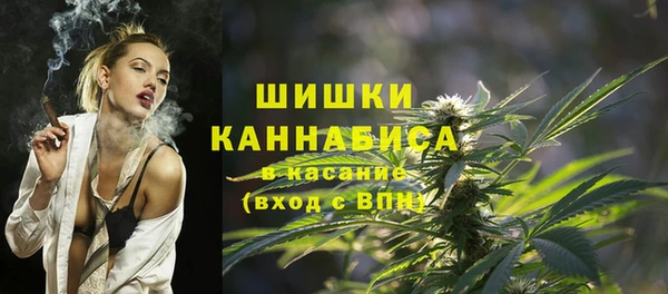 сатива Баксан