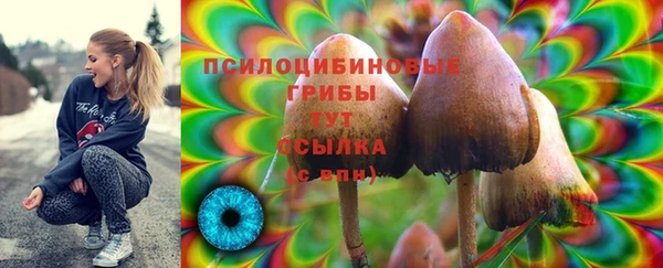 соль ск Балахна