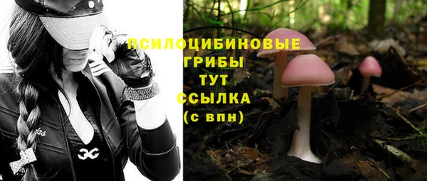 сатива Баксан
