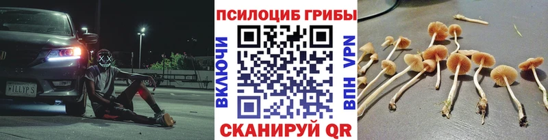 shop формула  Мамоново  Псилоцибиновые грибы мухоморы 